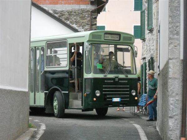 Raduno Veicoli d'Epoca Rovegno 2010 — foto 32